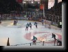 IMG_0309 * 1600 x 1200 * (499KB)