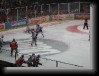 IMG_0359 * 1600 x 1200 * (467KB)