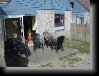 IMG_0186 * 1600 x 1200 * (635KB)
