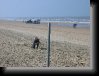 IMG_0385 * 1600 x 1200 * (552KB)