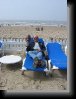 IMG_0404 * 1200 x 1600 * (528KB)