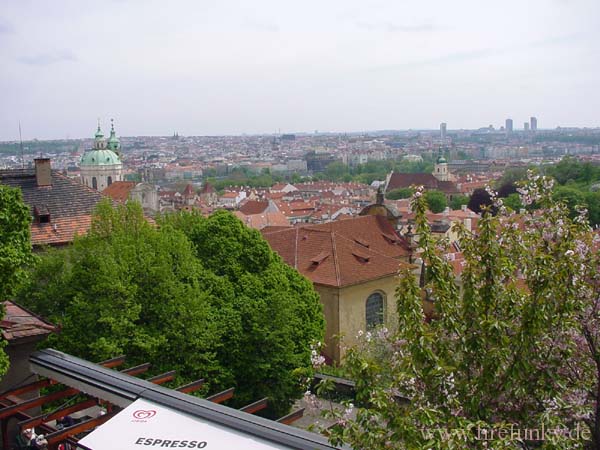 DSC04569