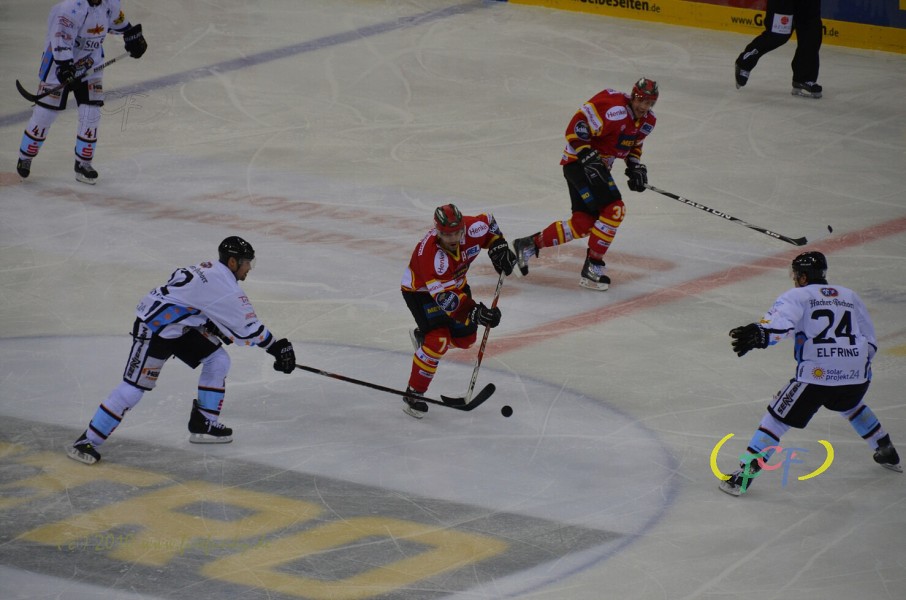 DEG -Straubing 12.12.2010
