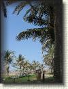 IMG_7913.JPG