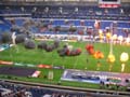 Fire-Admirals 067