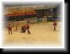 IMG_8633.JPG