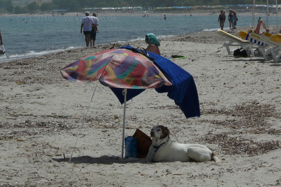 Kos 2010