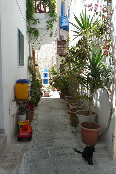 Kos 2010