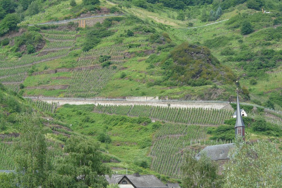 an der Mosel 2010