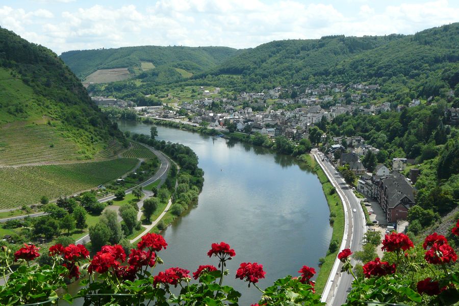 an der Mosel 2010