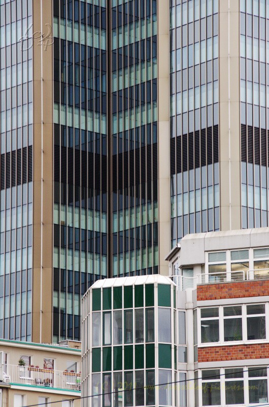 8.1.2011 in Düsseldorf