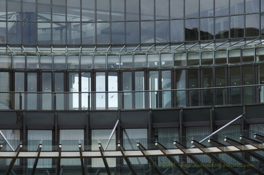 8.1.2011 in Düsseldorf