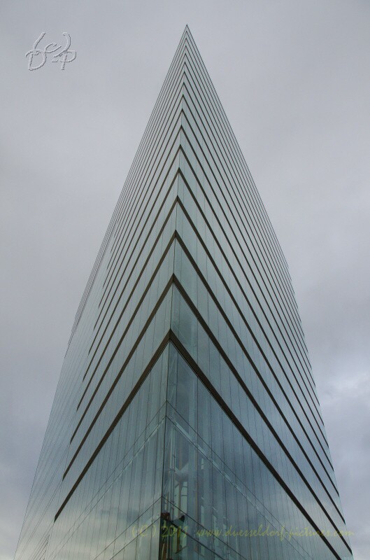8.1.2011 in Düsseldorf