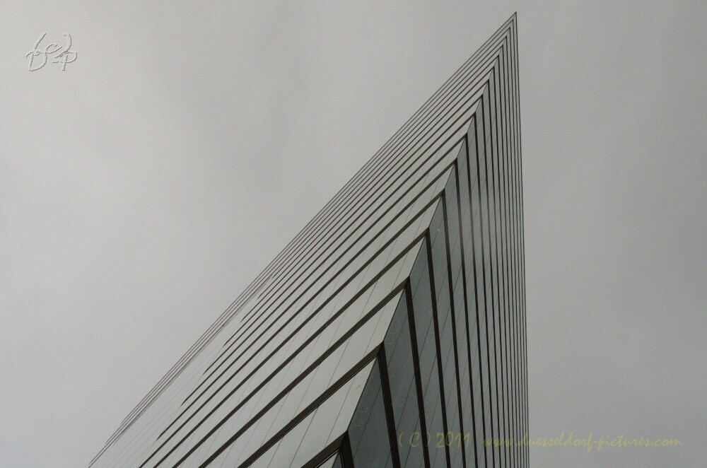 8.1.2011 in Düsseldorf