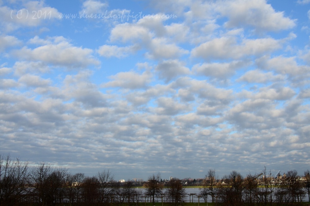 16.1.11 Hochwasser in Düsseldorf 8,34 m