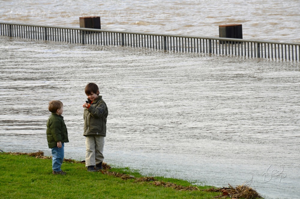 16.1.11 Hochwasser in Düsseldorf 8,34 m
