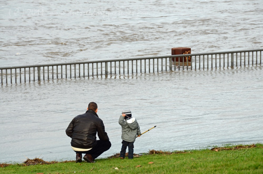16.1.11 Hochwasser in Düsseldorf 8,34 m