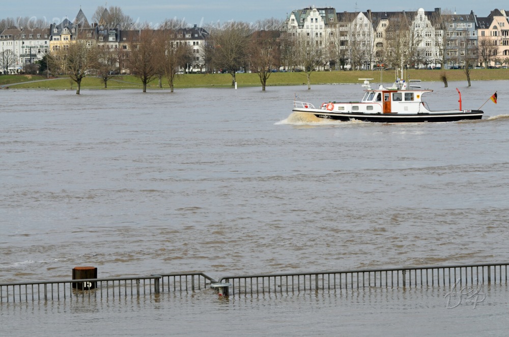 16.1.11 Hochwasser in Düsseldorf 8,34 m